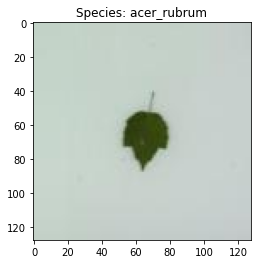 ../_images/tutorials_1-lime_images_8_0.png