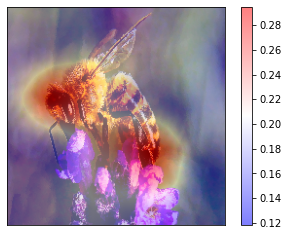 ../_images/tutorials_7-rise_imagenet_20_1.png
