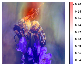 ../_images/tutorials_7-rise_imagenet_20_7.png
