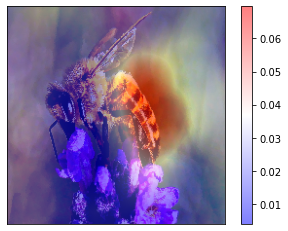 ../_images/tutorials_7-rise_imagenet_20_9.png