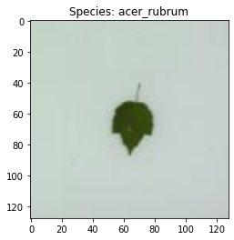 ../_images/tutorials_1-lime_images_8_0.png