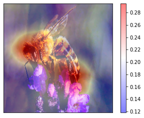 ../_images/tutorials_7-rise_imagenet_20_1.png