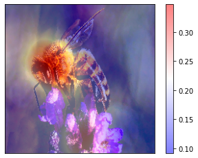../_images/tutorials_7-rise_imagenet_20_3.png
